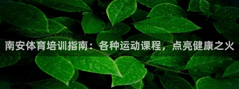 富联娱乐在线注册链接怎么弄：南安体育培训指南：各种运