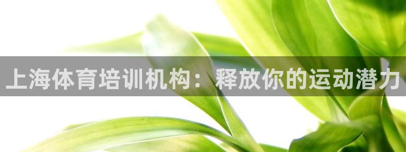 富联平台代理注册要钱吗：上海体育培训机构：释放你的运